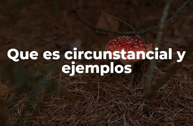 Que es Circunstancial y Ejemplos