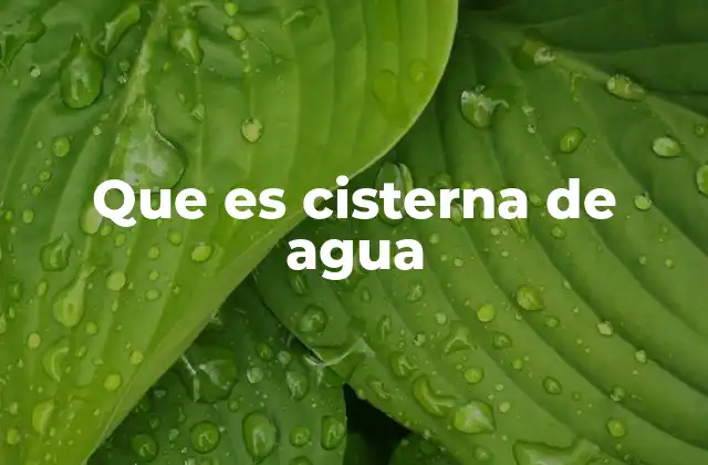 Funcionamiento y tipos de cisternas de agua