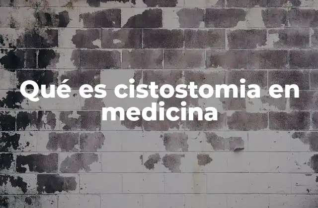 Qué es Cistostomia en Medicina