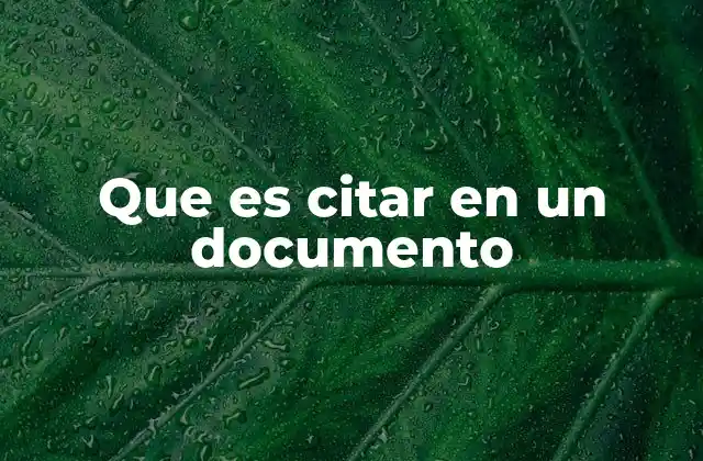 Que es Citar en un Documento