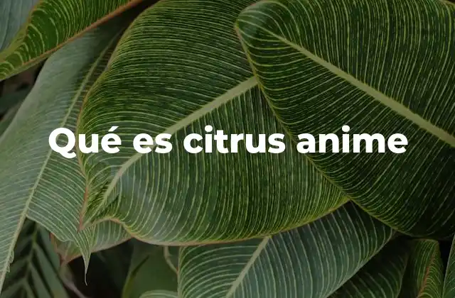 Qué es Citrus Anime