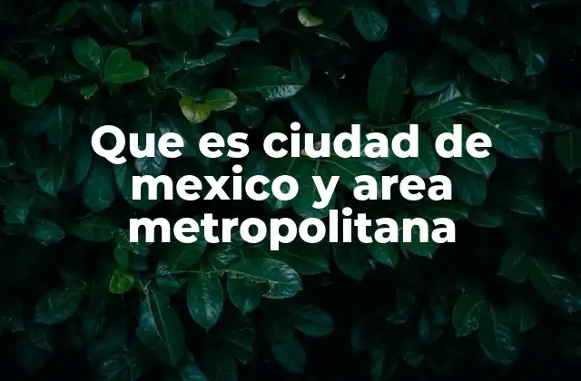 Que es Ciudad de Mexico y Area Metropolitana