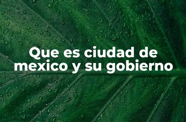 Que es Ciudad de Mexico y Su Gobierno