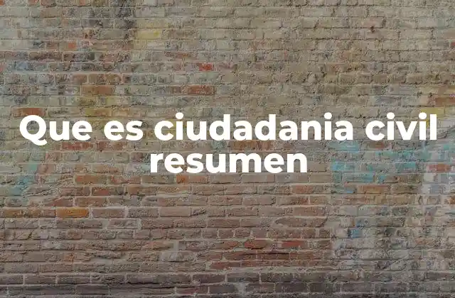 Que es Ciudadania Civil Resumen