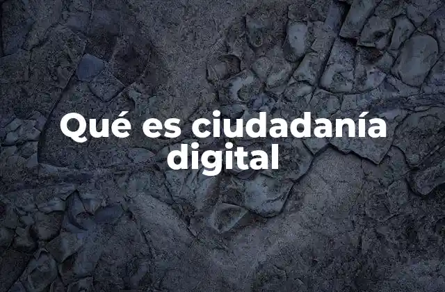 Qué es Ciudadanía Digital