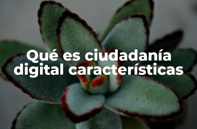 Qué es Ciudadanía Digital Características