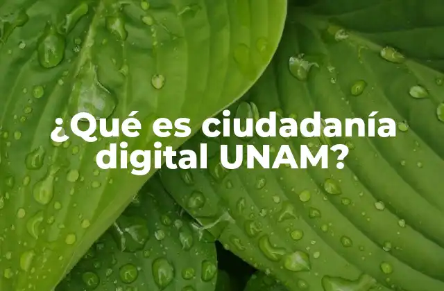 ¿qué es Ciudadanía Digital Unam?