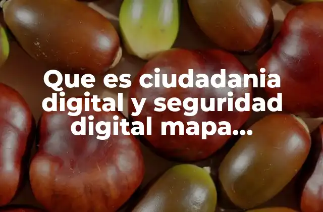 Que es Ciudadania Digital y Seguridad Digital Mapa Conceptual