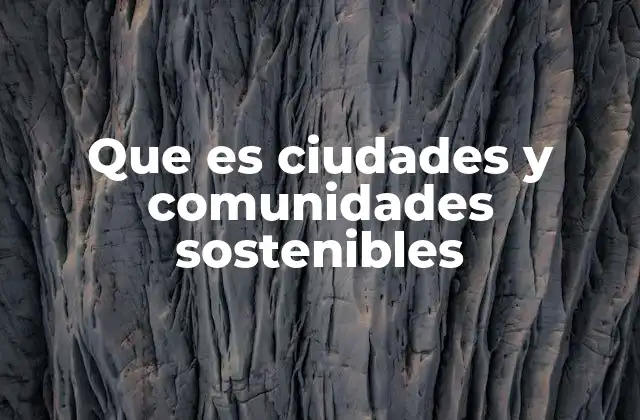 Que es Ciudades y Comunidades Sostenibles