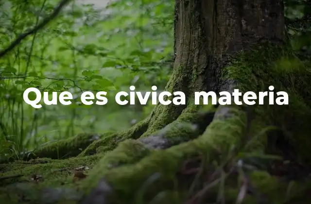 Que es Civica Materia