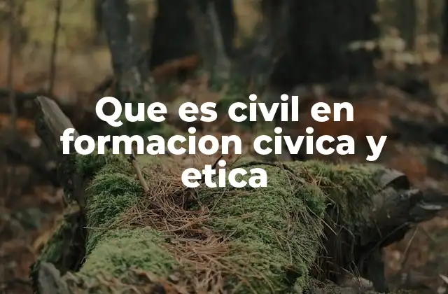 Que es Civil en Formacion Civica y Etica