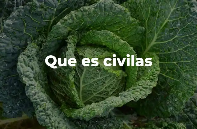 Que es Civilas