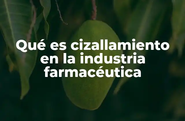 Qué es Cizallamiento en la Industria Farmacéutica