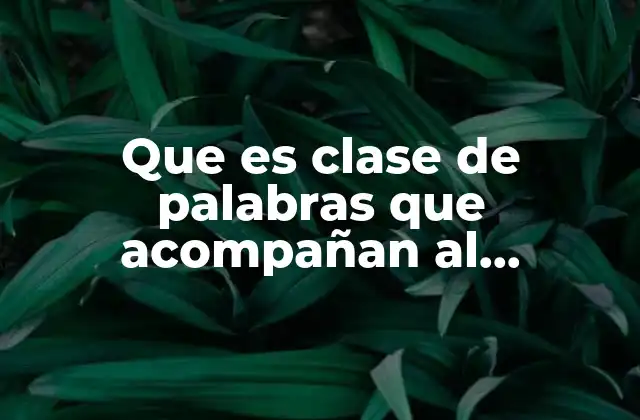 Que es Clase de Palabras que Acompañan Al Sustantivo
