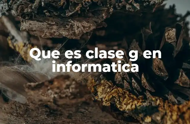 Clasificaciones y categorías en el mundo de la informática