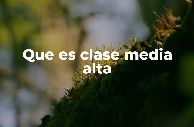 Que es Clase Media Alta
