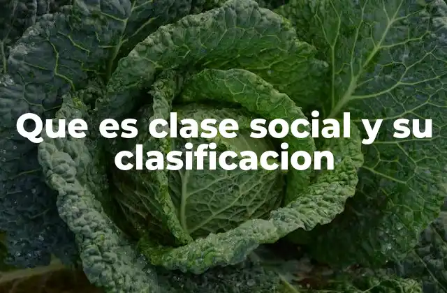 Que es Clase Social y Su Clasificacion