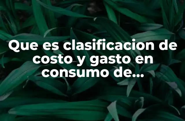 Que es Clasificacion de Costo y Gasto en Consumo de Inventarios