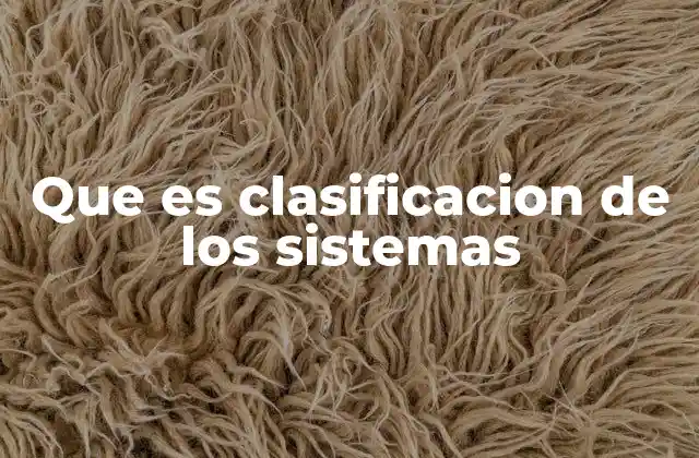 Que es Clasificacion de los Sistemas