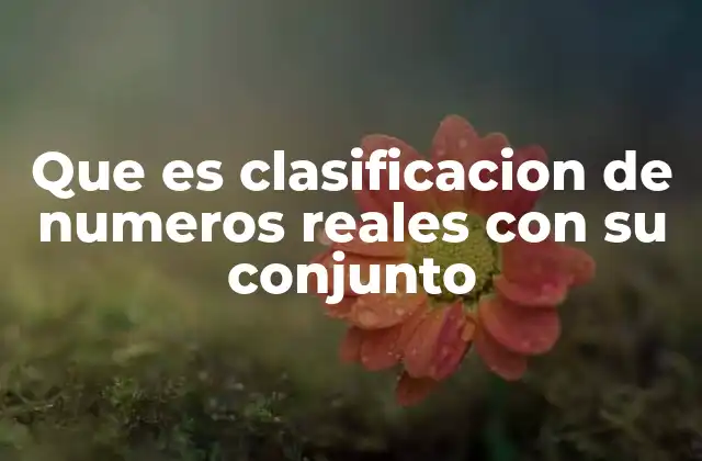 Que es Clasificacion de Numeros Reales con Su Conjunto