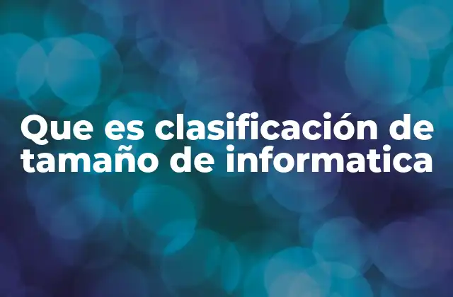 Que es Clasificación de Tamaño de Informatica