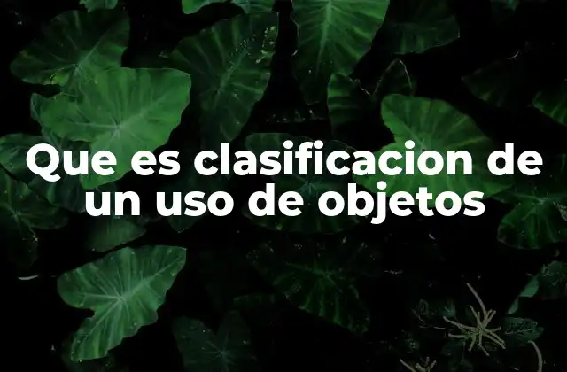 Que es Clasificacion de un Uso de Objetos 2 El rol de la clasificación funcional en la vida cotidiana