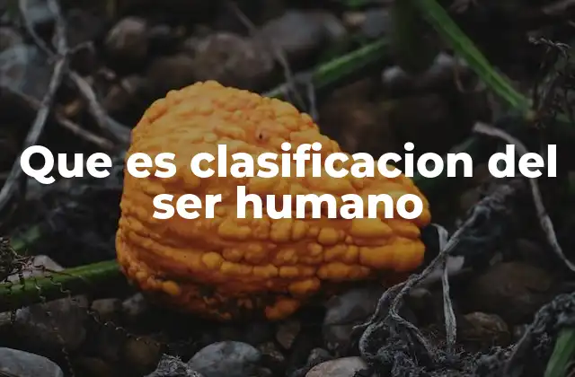 Que es Clasificacion Del Ser Humano