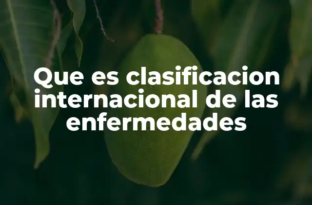 Que es Clasificacion Internacional de las Enfermedades