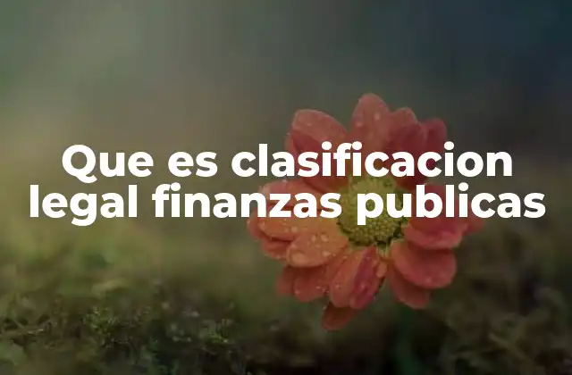 Que es Clasificacion Legal Finanzas Publicas