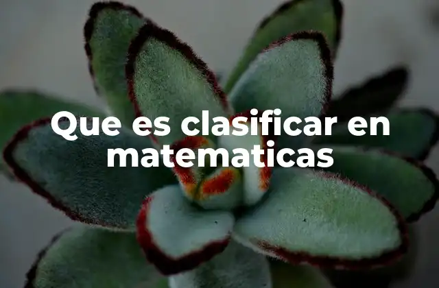 Que es Clasificar en Matematicas