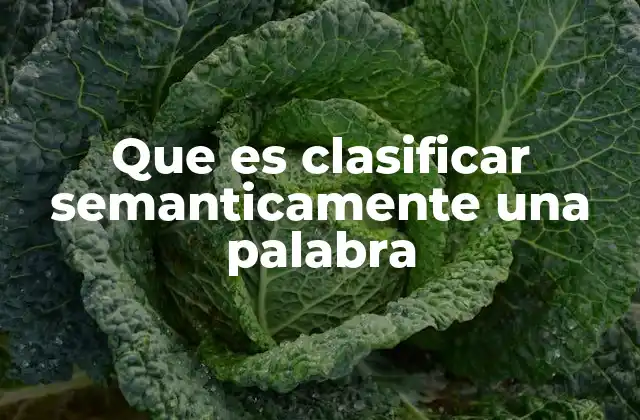 Que es Clasificar Semanticamente una Palabra