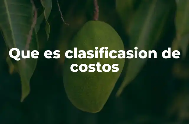 Que es Clasificasion de Costos
