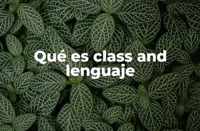 Qué es Class And Lenguaje