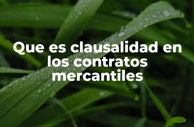 Que es Clausalidad en los Contratos Mercantiles