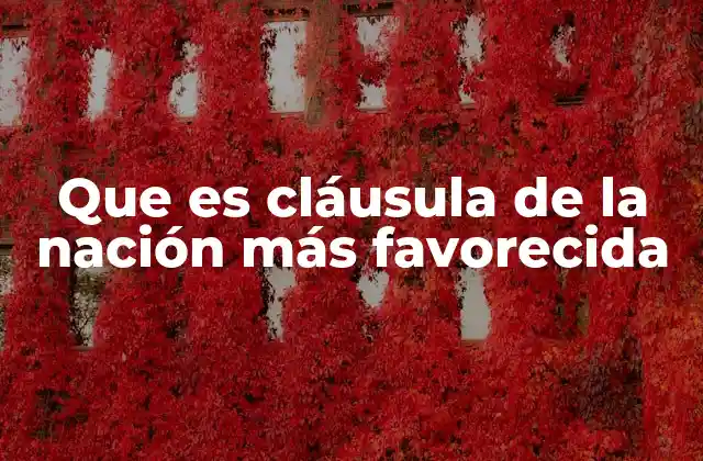 Que es Cláusula de la Nación Más Favorecida 2 El equilibrio en el comercio internacional