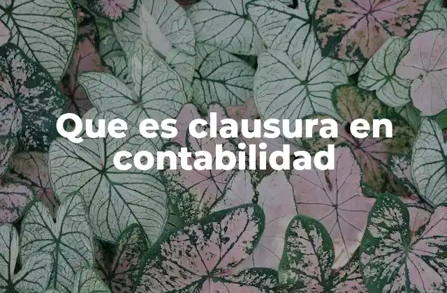 Que es Clausura en Contabilidad