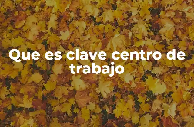 Que es Clave Centro de Trabajo