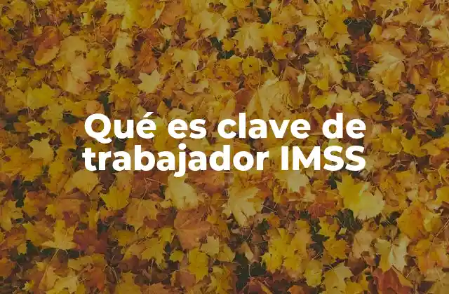Qué es Clave de Trabajador Imss