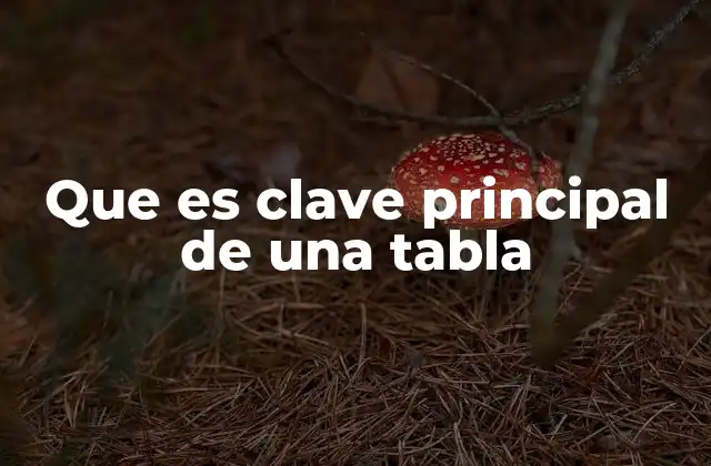 Que es Clave Principal de una Tabla