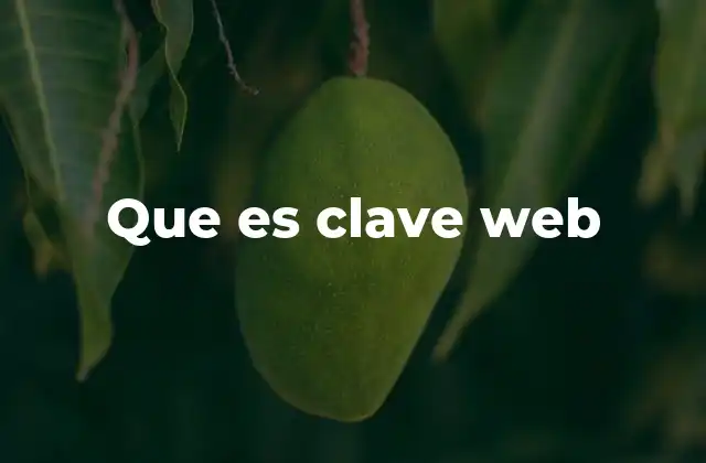 Que es Clave Web