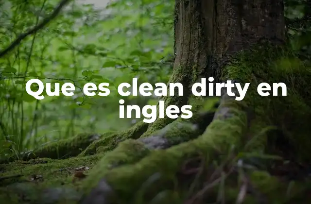 Que es Clean Dirty en Ingles