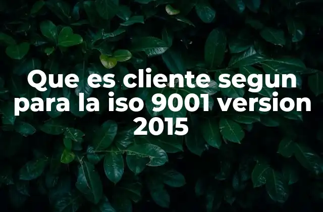 Que es Cliente Segun para la Iso 9001 Version 2015