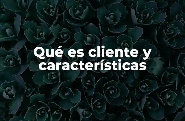 Qué es Cliente y Características