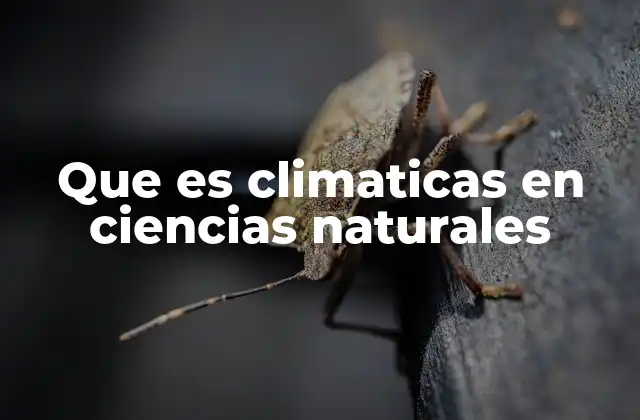 Que es Climaticas en Ciencias Naturales 2 La importancia de entender los factores climáticos en la ecología
