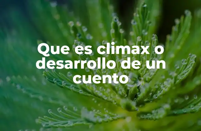 Que es Climax o Desarrollo de un Cuento