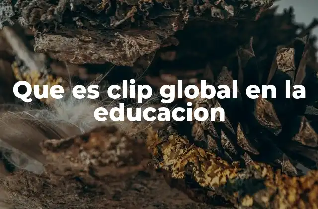 Que es Clip Global en la Educacion