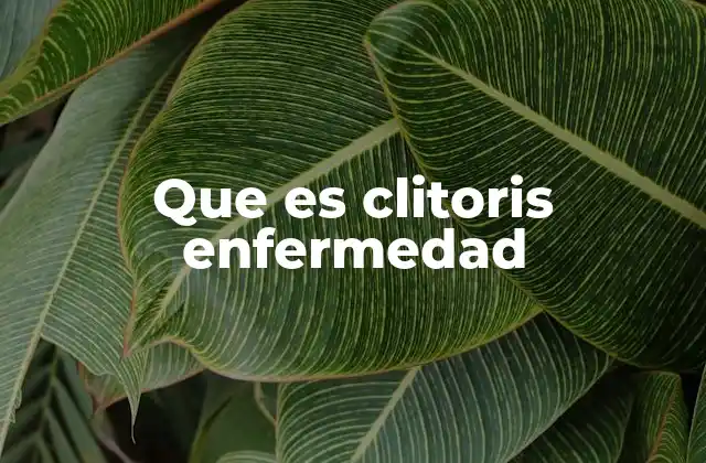 Entendiendo los trastornos del clítoris sin mencionar directamente el término