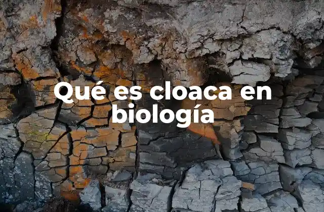 El rol de la cloaca en la evolución animal