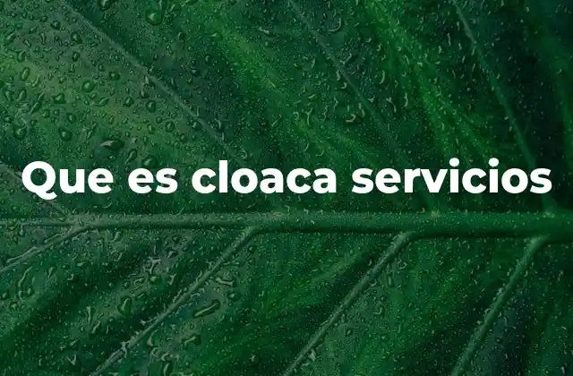 Que es Cloaca Servicios
