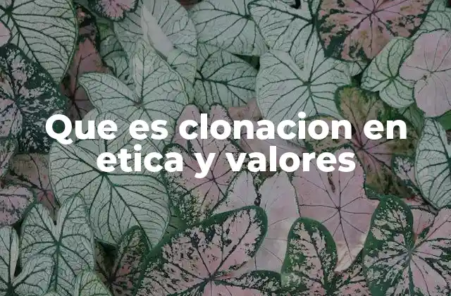 Que es Clonacion en Etica y Valores